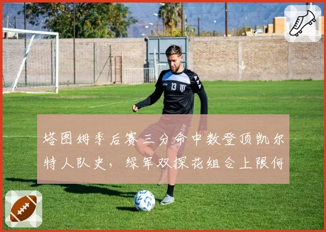 塔图姆季后赛三分命中数登顶凯尔特人队史,绿军双探花组合上限何在?